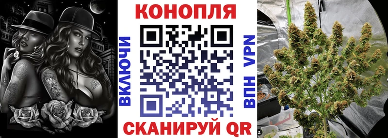 Где купить Пошехонье ОМГ ОМГ зеркало Меф МЕТАМФЕТАМИН Гашиш Конопля
